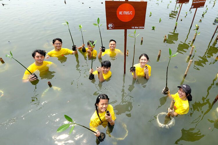 Tanamkan Rasa Peduli Lingkungan pada Generasi Muda, AC Music Lakukan Kegiatan Penanaman Pohon Mangrove