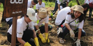 Acer Indonesia Tanam Ribuan Mangrove di Wonorejo Surabaya dalam Inisiatif #SayangBumi