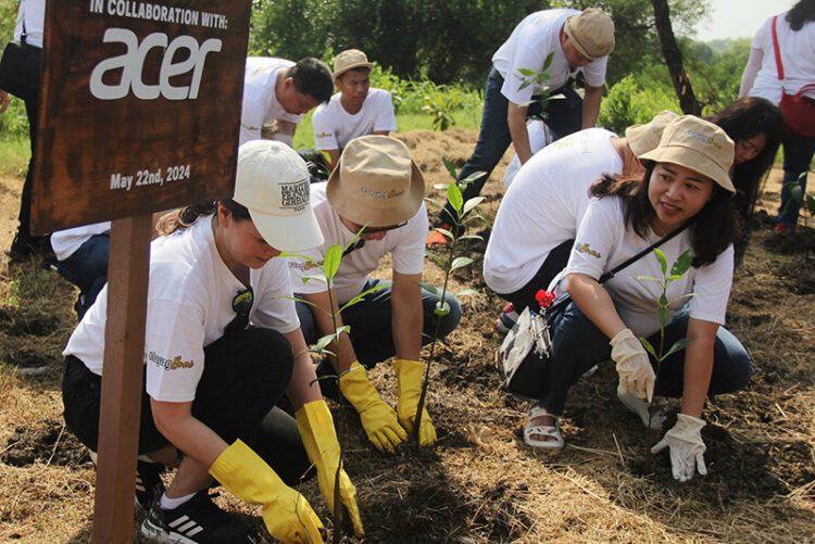 Acer Indonesia Tanam Ribuan Mangrove di Wonorejo Surabaya dalam Inisiatif #SayangBumi