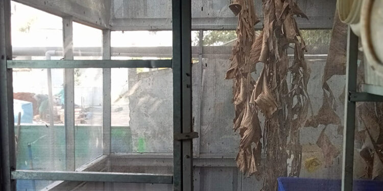 Berkolaborasi dengan Sudin LHK Jakut, Mercure Convention Center Ancol Hotel Jadi Pelopor Pengelolaan Sampah Pakan Bernilai