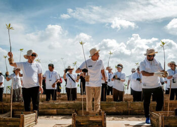 Menparekraf Ajak Delegasi “The 2nd UN Tourism Regional Conference on the Empowerment of Women in Tourism in Asia and the Pacific” Tanam Bakau