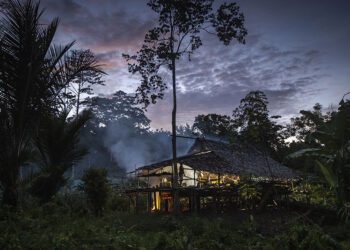 Jaga Potensi Hutan, Masyarakat Malagufuk Hidup Bermartabat di Tanah dan Hutan Adatnya