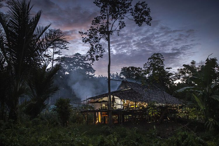 Jaga Potensi Hutan, Masyarakat Malagufuk Hidup Bermartabat di Tanah dan Hutan Adatnya