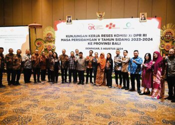 Komisi XI DPR RI Bahas Data Terpadu dan SDM UMKM di Bali Bersama Himbara dan BPD Bali