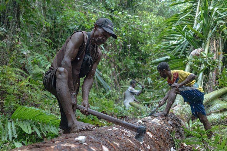 Lestarikan Alam adalah Kunci Masyarakat Adat Menjaga Masa Depan
