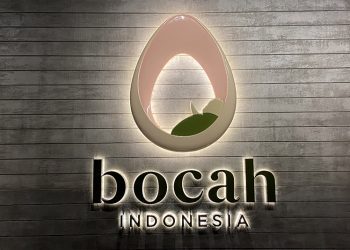 Bocah Indonesia Raih Angka Keberhasilan, Solusi Tepat untuk Pasangan Dapatkan Garis Dua
