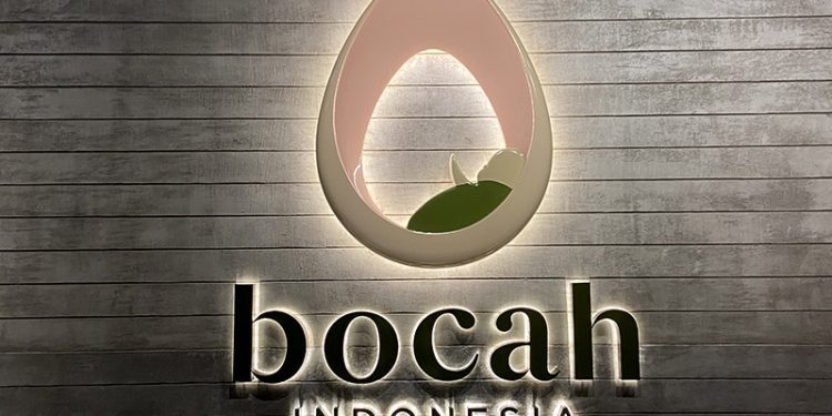 Bocah Indonesia Raih Angka Keberhasilan, Solusi Tepat untuk Pasangan Dapatkan Garis Dua