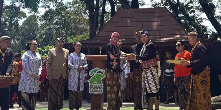 Grebeg Syawal 2025 di Solo Safari, Perpaduan Tradisi Joko Tingkir dan Wisata Keluarga yang Sarat Makna