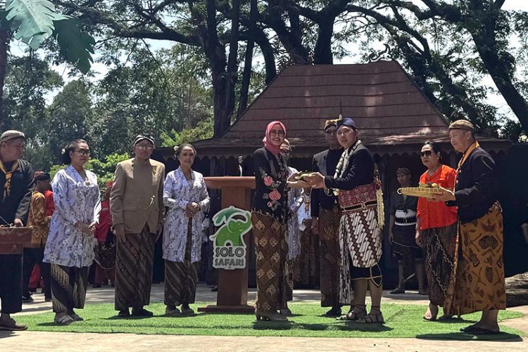 Grebeg Syawal 2025 di Solo Safari, Perpaduan Tradisi Joko Tingkir dan Wisata Keluarga yang Sarat Makna