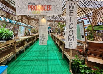 Membawa Harum Tanah Air, Saat Kopi dan Cokelat Indonesia Menembus Amsterdam