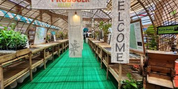 Membawa Harum Tanah Air, Saat Kopi dan Cokelat Indonesia Menembus Amsterdam