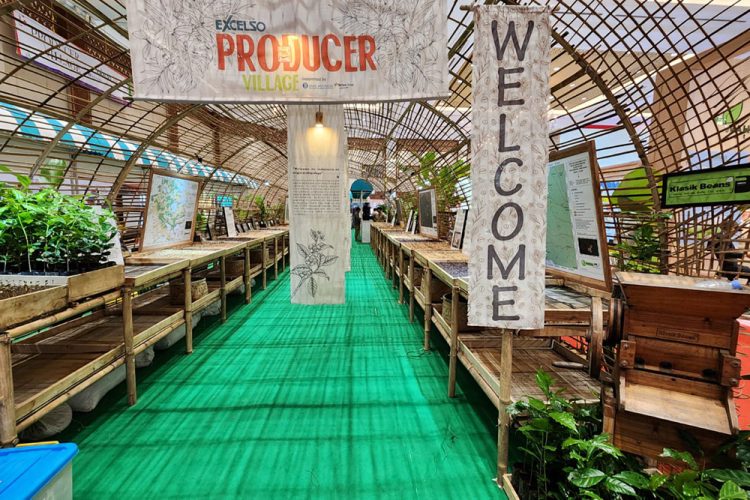 Membawa Harum Tanah Air, Saat Kopi dan Cokelat Indonesia Menembus Amsterdam