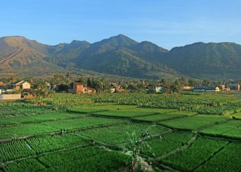 Puncak dan Surakarta Diprediksi Jadi Destinasi Favorit di Libur Hari Buruh 2026