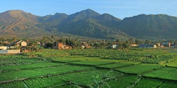 Puncak dan Surakarta Diprediksi Jadi Destinasi Favorit di Libur Hari Buruh 2026