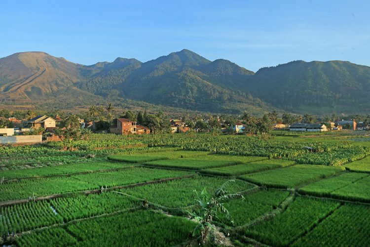 Puncak dan Surakarta Diprediksi Jadi Destinasi Favorit di Libur Hari Buruh 2026